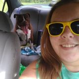 Available: Knowledgeable Pet Sitter in Palatka/Gainesville FL