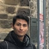 Toronto Pet Service Provider Looking For Being Hired