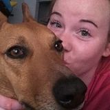Interested In a Pet Sitting Professional Opportunity in Red Bluff