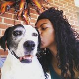 Interviewing For a Pet Sitter Job in Glendale
