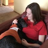 Tacoma Pet Sitter Available For Job Opportunities in Washington