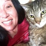 For Hire: Trustworthy Pet Trainer in Franklin