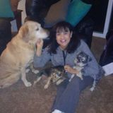 Sheriffs fur babies daycare service in Carol Stream