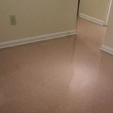 Good Maid in Albany