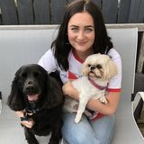 Looking for pet sitting and walking opportunities within the Halton hills area