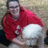 Available for the month of May and June: Reliable Dog Walker and Sitter in Spartanburg, South Carolina