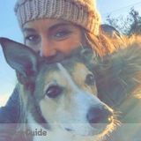 Pet Sitter and Any Other Needs!