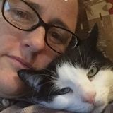 Reliable cat lady cat sitter for you!