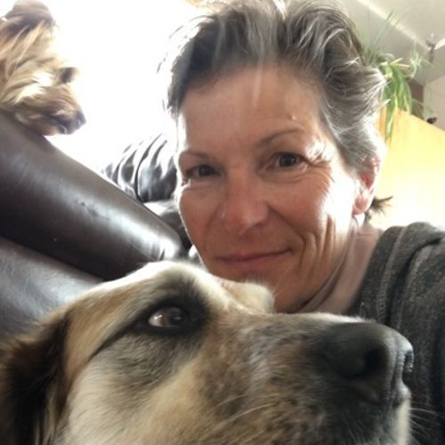 Pet Care Provider Anna P's Profile Picture