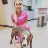 Vet Tech available to care for your best friends
