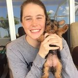 Knowledgeable Pet Sitter in Jamestown