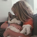 Pet Lover Looking for Animals to Sit