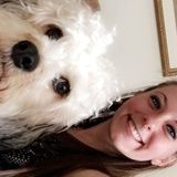 Experienced Pet Sitter