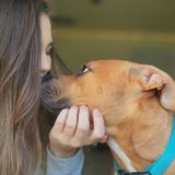 Interviewing For Summerville Pet Sitter Opportunity