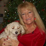 Dog walker, trainer & Pet sitter