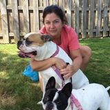 Compassionate Care for your furry family member!