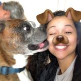 Animal loving college student looking for all types of pets to care for.