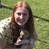 Im a person who loves animals and has a lot of free time