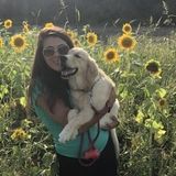 From overnight stays to checking in on your pup while your at work. Please feel free to contact me.