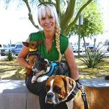 Dog walking for big and small, in-home visits to let your pup out/feed, dog daycare and boarding for small dogs only