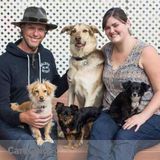 In-home Boarding with Positive and Caring Dog Trainers