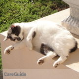 Visit twice a day/feed 2 cats.