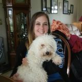 Rolling Prairie Sitter Seeking Work