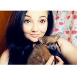 Present Pet Sitter in Williston, North Dakota