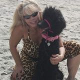 Reliable Housekeeping/Pet Care Service