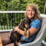 Knowledgeable Dog Walker in Schenectady, New York