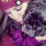 Experienced Dog Walker and Sitter