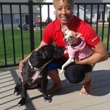 Short on time? Need help with your energetic pup? I'm here for you! 15 years experience with dogs.