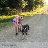 Husky Sitter Needed!