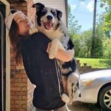 Hardworking Dog Sitter for Hire