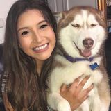 Pet Sitter