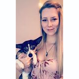 Interested In Victoria House and Pet Sitter Jobs