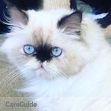 Looking for a honest Cat Boarding