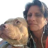 Responsible House Sitter