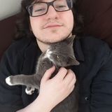 Knowledgeable Pet Supervisor for Your Home
