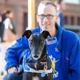 Brookfield or Nearby House Sitting Available (27 Sept - 8 Oct)