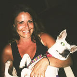Experienced Vet. Tech and rescue volunteer in downtown Arlington Heights