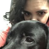 Available: Present Dog Mom Here to Help in Worcester, Massachusetts