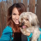 For Hire: Loving Dog Walker and Dog sitter in Wenatchee