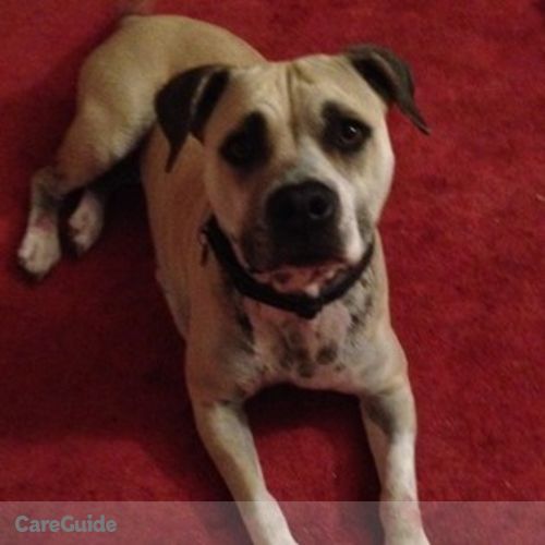 Pet Care Provider Caren A's Profile Picture