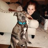 Professional dog trainer/animal lover