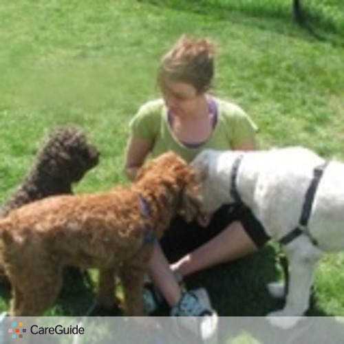 Pet Care Provider Sam M's Profile Picture