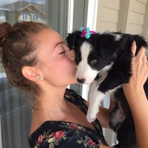 Pet Care Provider Carlie P's Profile Picture