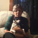 Friendly honest house sitter in Kingman, AZ