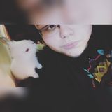 Huge pet lover looking to care for your fur babies!