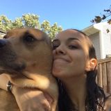Looking to hag with some fur babies